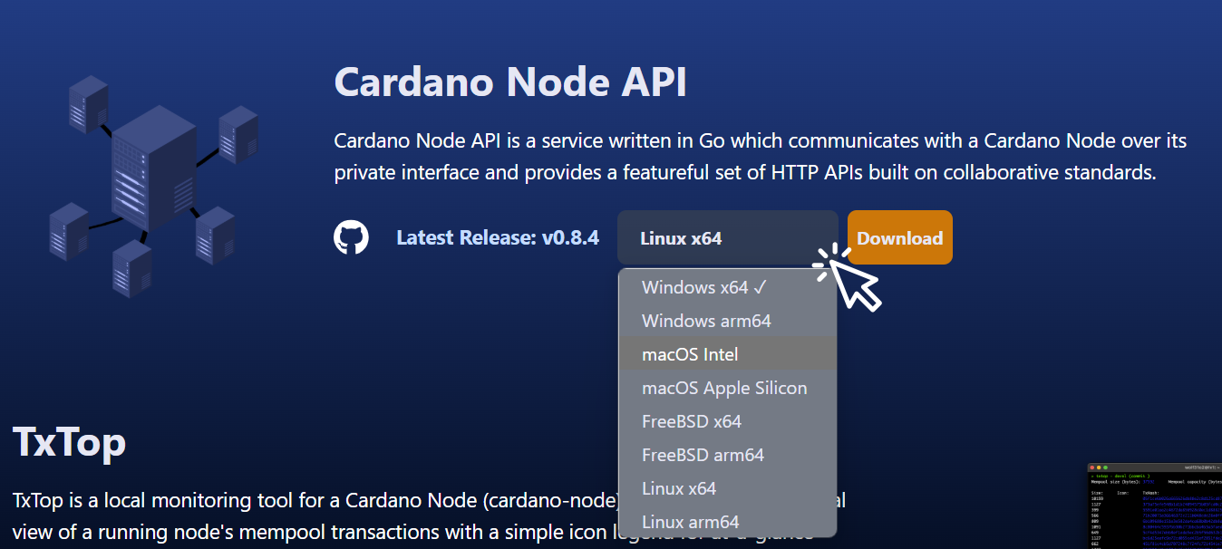 cardano-node-api-blinklabs-site-operating-system