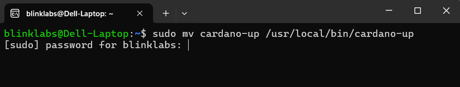 cardano-up-move-binary-password