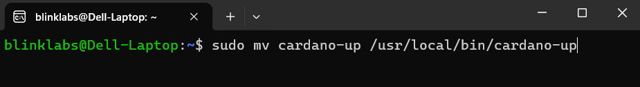 cardano-up-move-binary