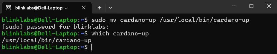 cardano-up-verify-binary-path