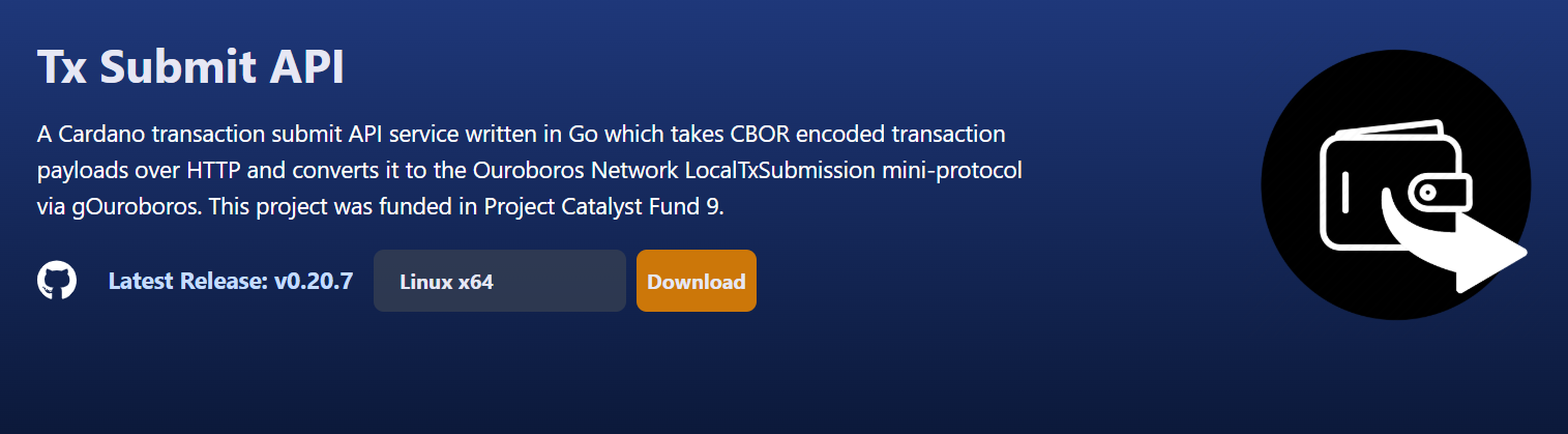 txsubmit-blinklabs-site